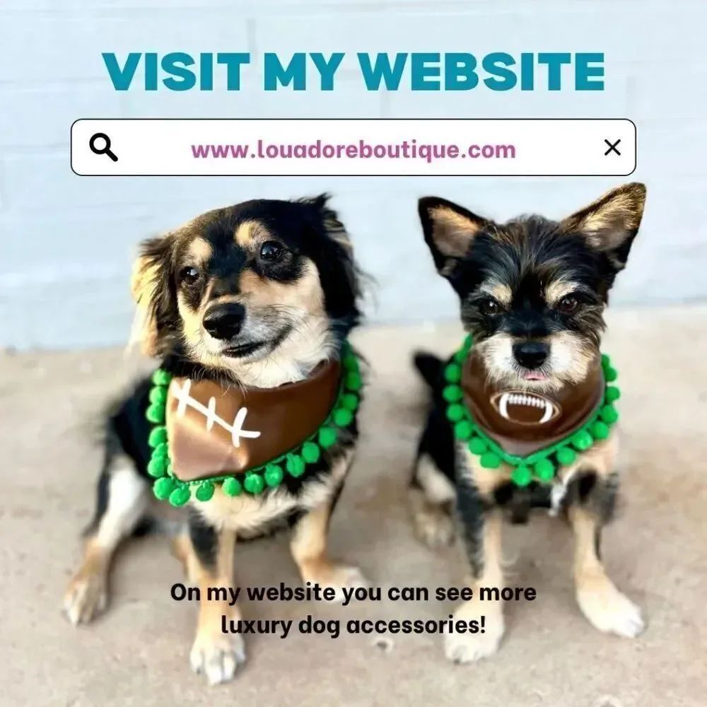 Louadore.com   - Picture 2 of 6